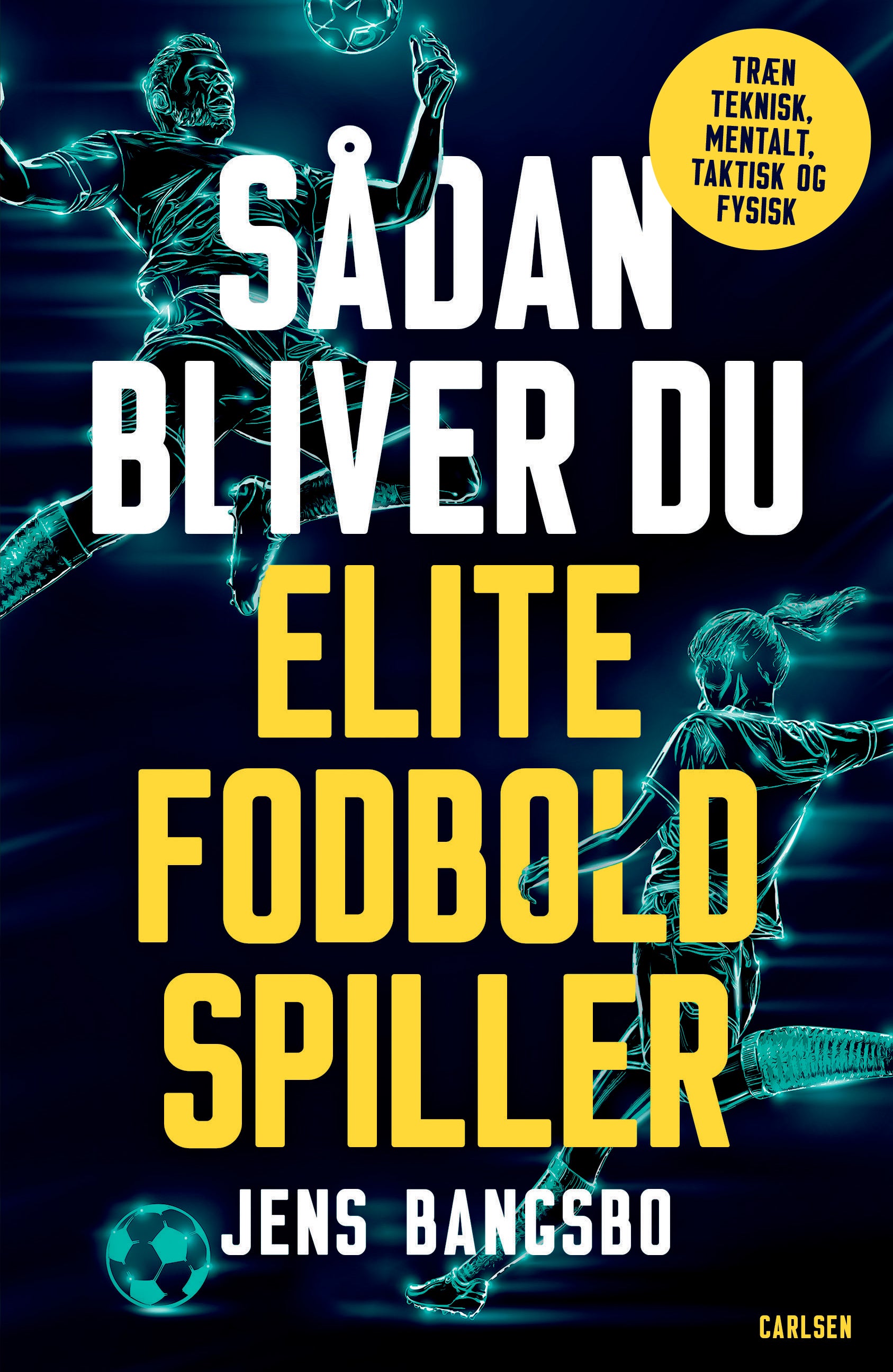Forside billede